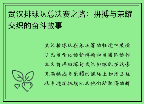 武汉排球队总决赛之路：拼搏与荣耀交织的奋斗故事