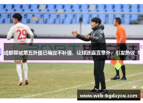 成都蓉城第五外援已确定不补强，让球迷直言意外，引发热议_1