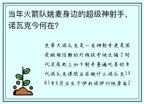 当年火箭队姚麦身边的超级神射手，诺瓦克今何在？